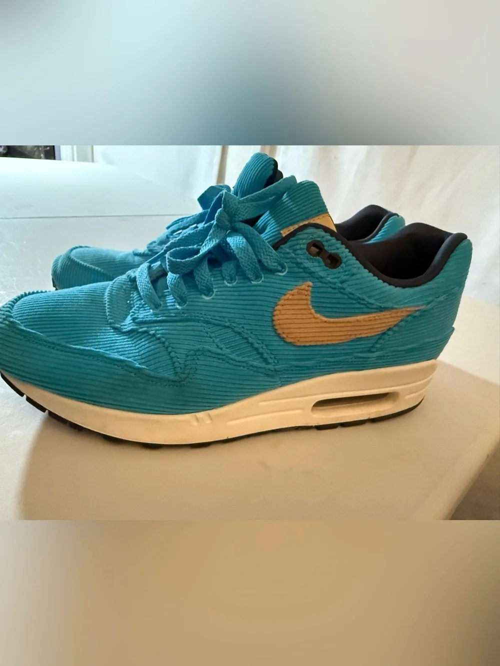 Nike Air Max Men’s Corduroy Sneaker Teal and Tan